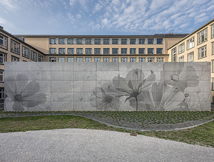 Dresden Center 